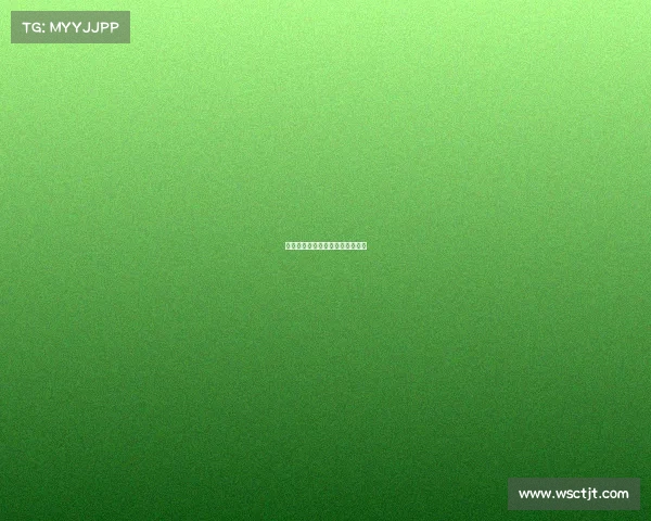 世界搏击顶级赛事世界级搏击比赛